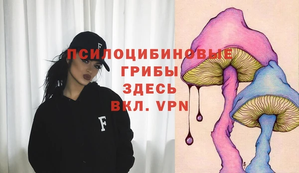 a pvp Абинск